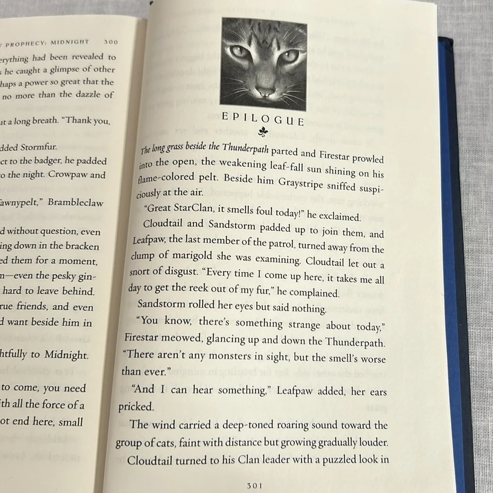 🌞 Warriors 5 different books from The New Prophecy series by Erin Hunter